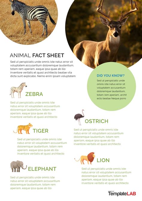 swyex fact sheet.